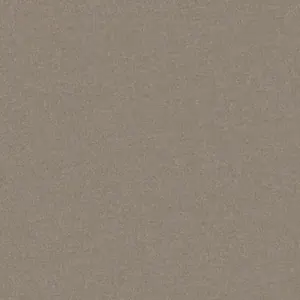 Natural Velvet fabric preview