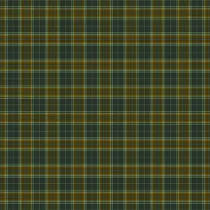 Green Plaid fabric preview