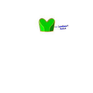 Sweetheart Bodice pattern preview
